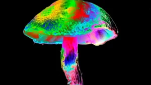 Una sustancia psicodélica, conocida principalmente por sus efectos en el cerebro, también podría proteger los nervios periféricos del daño causado por la quimioterapia, según sugieren las primeras investigaciones.